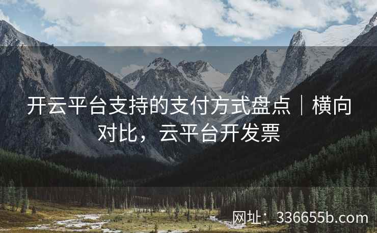 开云平台支持的支付方式盘点|横向对比,云平台开发票 开云平台支持的支付方式盘点|横向对比,云平台开发票