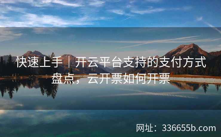快速上手｜开云平台支持的支付方式盘点，云开票如何开票