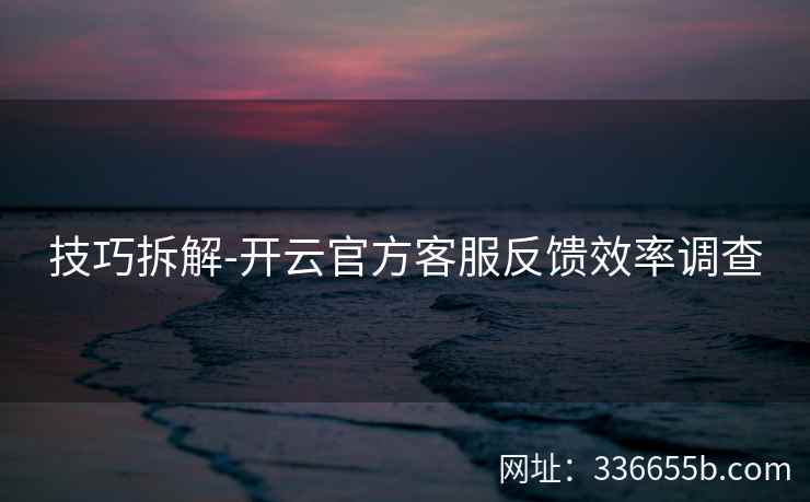 技巧拆解-开云官方客服反馈效率调查